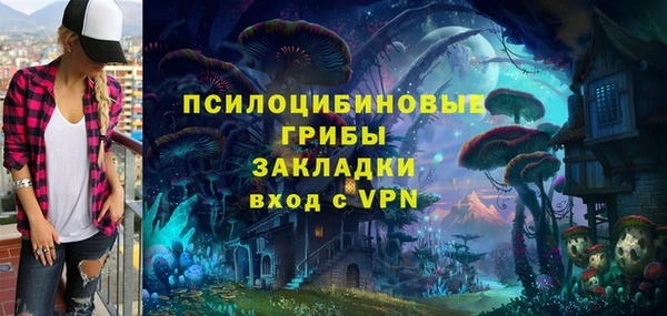 ECSTASY Лагань