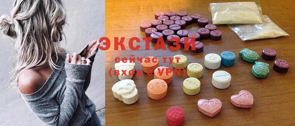 ECSTASY Лагань