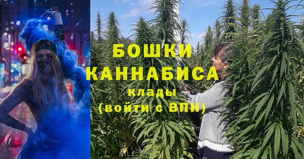 дмт Ладушкин