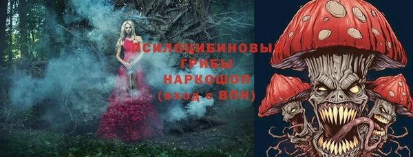 дмт Ладушкин