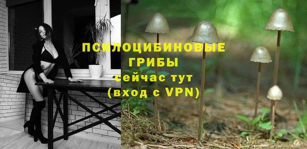 дмт Ладушкин