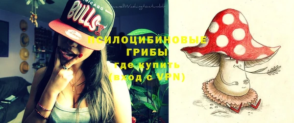 эйфоретик Лабытнанги