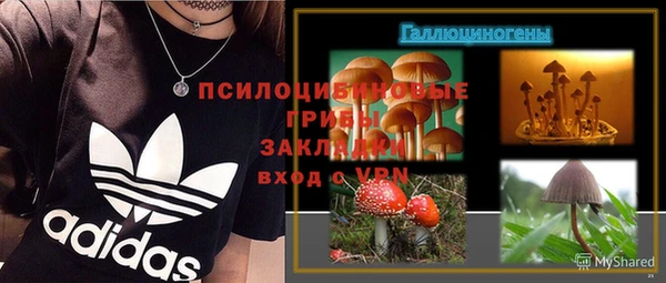 эйфоретик Лабытнанги