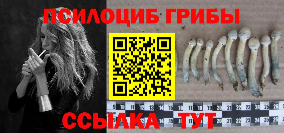 Шали  Галлюциногенные грибы Cubensis  Вход с VPN 