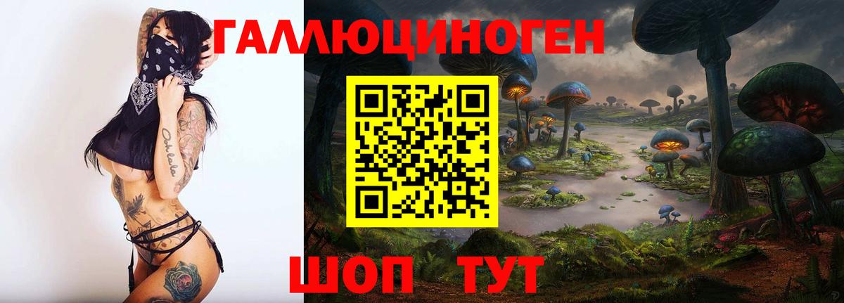Псилоцибиновые грибы Psilocybe Шали