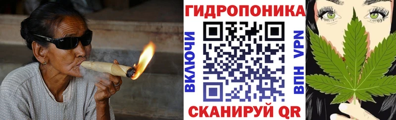 как найти наркотики  гидра как войти  Канабис OG Kush  Шали 